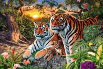 [ RAV170722 ] Verborgen tijgers 3000 stukjes