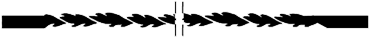 [ PX28747 ] Proxxon Rondzaagblad zonder dwarsstift, met vlakke uiteinden, 12 Stuks