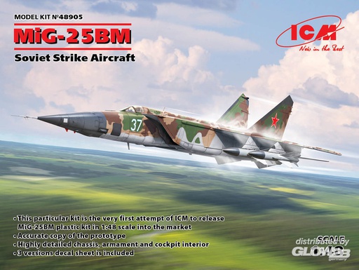 [ ICM48905 ] Mig-25 BM Soviet Strike Aircraft 1/48