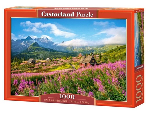 [ CASTOR104512 ] Castorland puzzle Hala Gsienicowa, Tatras, Poland (1000 stukjes)