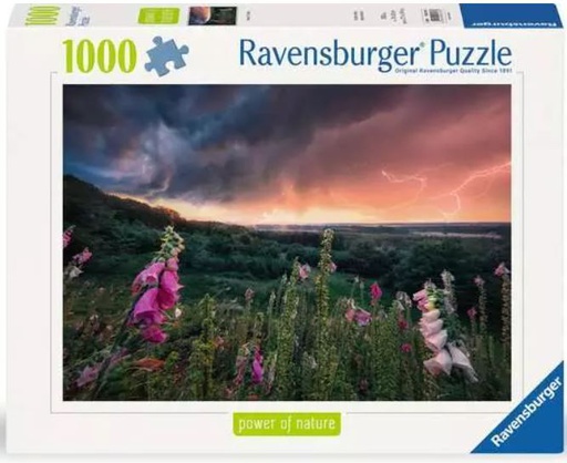 [ RAV7937 ] Ravensburger Dreamy Thunder puzzel 1000 stukjes