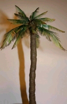 [ JOEFIX181.35 ] palmboomset A (ASIA TYPE)